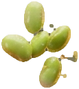 Soybeans tossed high above the kadai